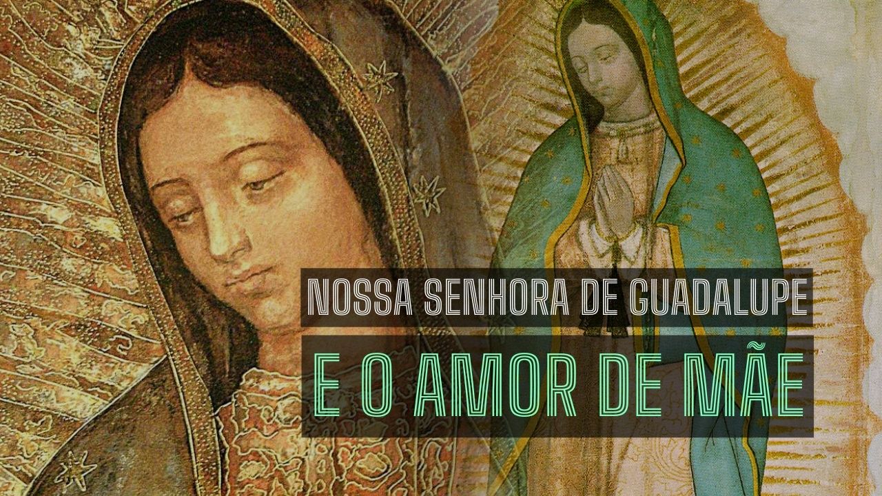 Nossa Senhora de Guadalupe e o amor de mãe